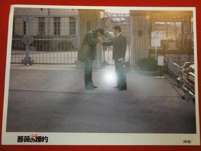 92786『薔薇の標的』ロビーカード 舘ひろし 松田優作 村川透 中島ゆたか 沢たまき 沢田和美拍卖