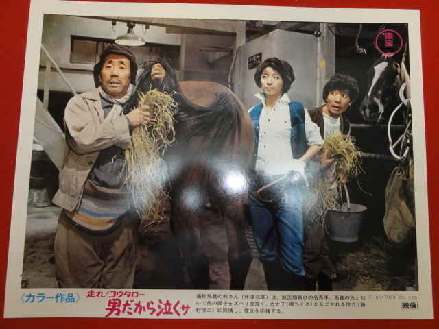 92912『走れコウタロー男だから泣くサ』ロビーカード 藤村俊二 郷ちぐさ 左とん平 左卜全 西村晃 緑魔子 菱見百合子 伴淳三郎拍卖