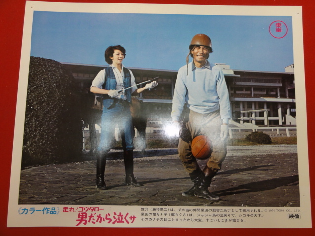 92916『走れコウタロー男だから泣くサ』ロビーカード 藤村俊二 郷ちぐさ 左とん平 左卜全 西村晃 緑魔子 菱見百合子 伴淳三郎拍卖