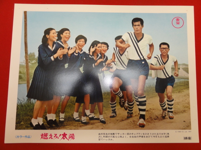 92973『燃えろ!太陽』ロビーカード 夏木陽介 黒沢年男 酒井和歌子 藤山陽子 野川由美子 東野英治郎 曽我廼家明蝶 賀原夏子拍卖