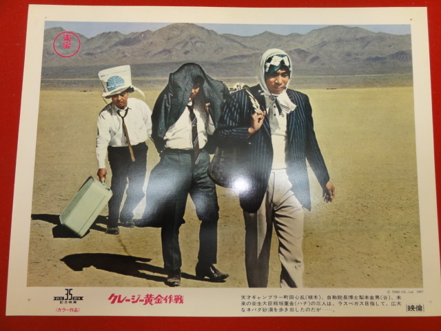 93034『クレージー黄金作戦』ロビーカード クレージーキャッツ 植木等 ハナ肇 谷啓 犬塚弘 藤田まこと 浜美枝 園まりザピーナッツ拍卖