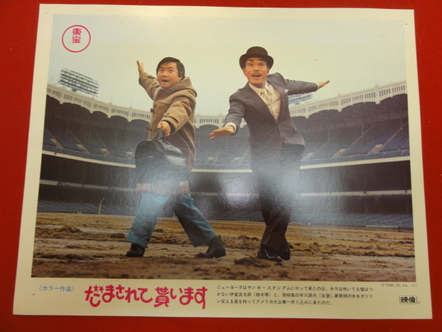 93107『だまされて貰います』ロビーカード 植木等 ハナ肇 谷啓 加藤茶 野川由美子 犬塚弘 桜井センリ 小山ルミ 司美智子 園まり拍卖