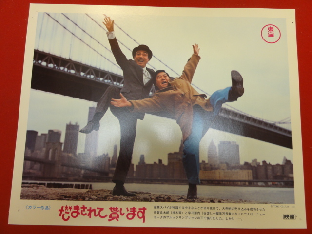 93108『だまされて貰います』ロビーカード 植木等 ハナ肇 谷啓 加藤茶 野川由美子 犬塚弘 桜井センリ 小山ルミ 司美智子 園まり拍卖