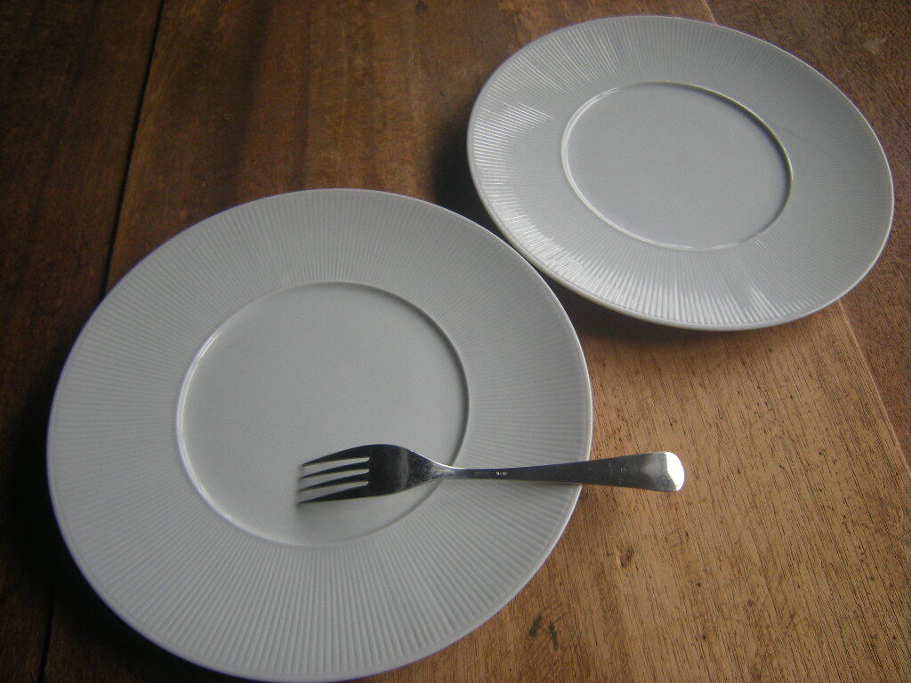 山◎美濃焼【新品・未使用】カロリナ 千段 白磁器 ディナープレート 9寸(27.5㎝x2.5㎝)ペア 2枚セット *ホテル・レストランうつわ拍卖