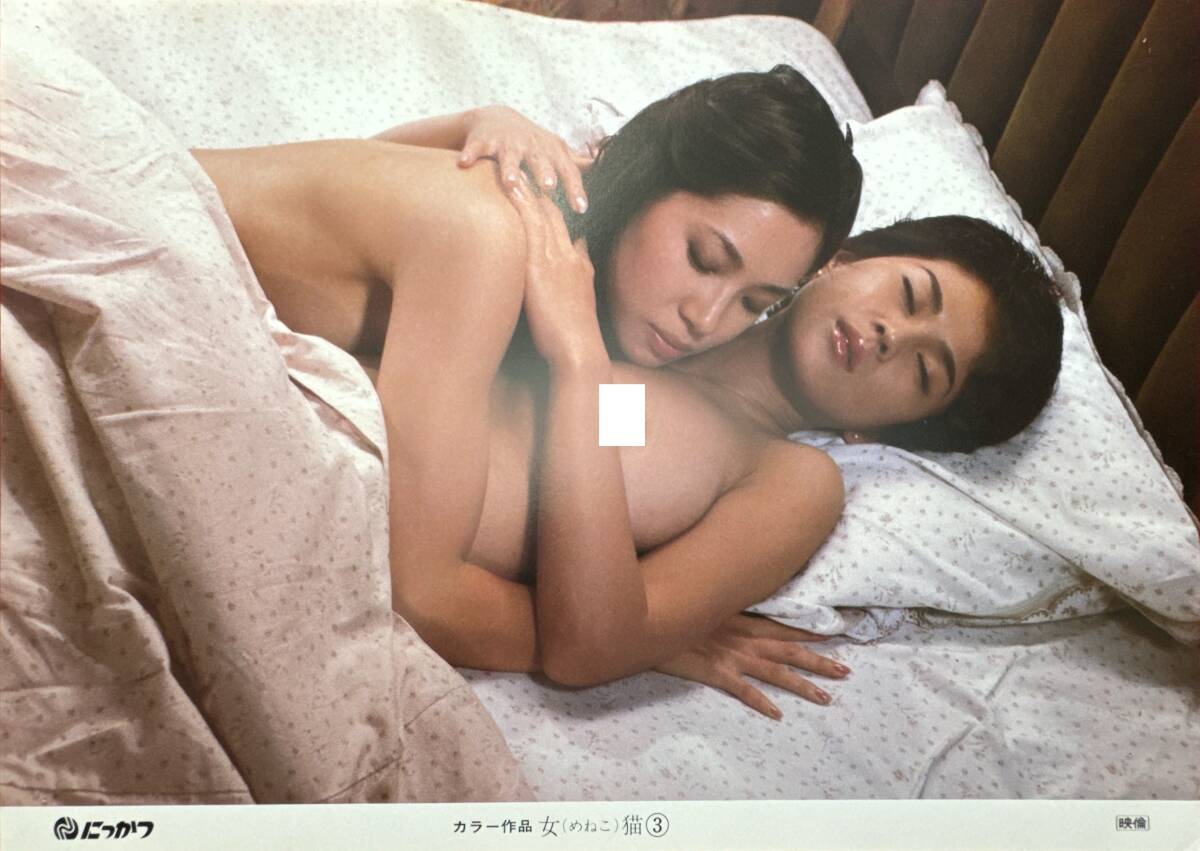 ly01753『女猫』ロビーカード 山城新伍 早乙女愛 伊東幸子 岩城滉一 名和宏 水上功治 大塚良重 青木琴美拍卖