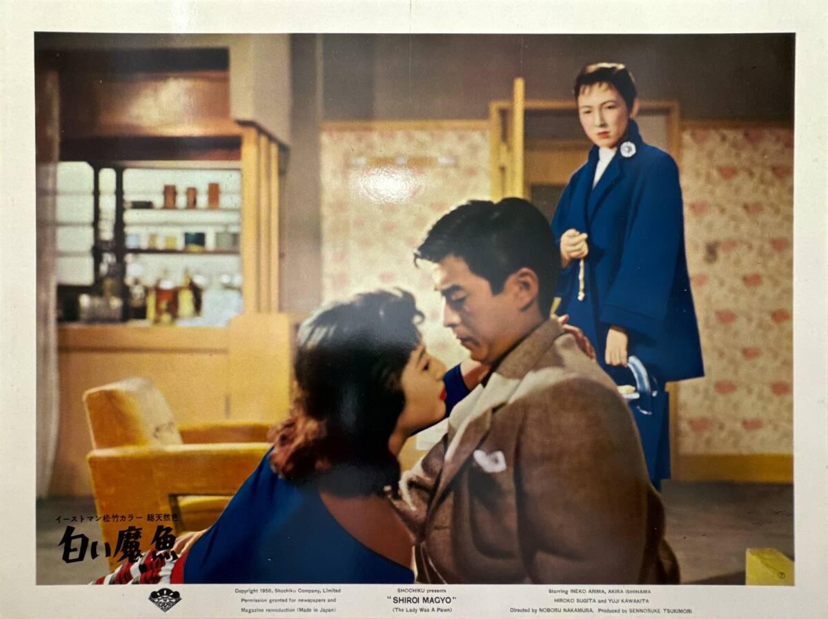 ly01578『白い魔魚』ロビーカード 中村登 有馬稲子 石浜朗 高峰三枝子 川喜多雄二 杉田弘子 上原謙拍卖