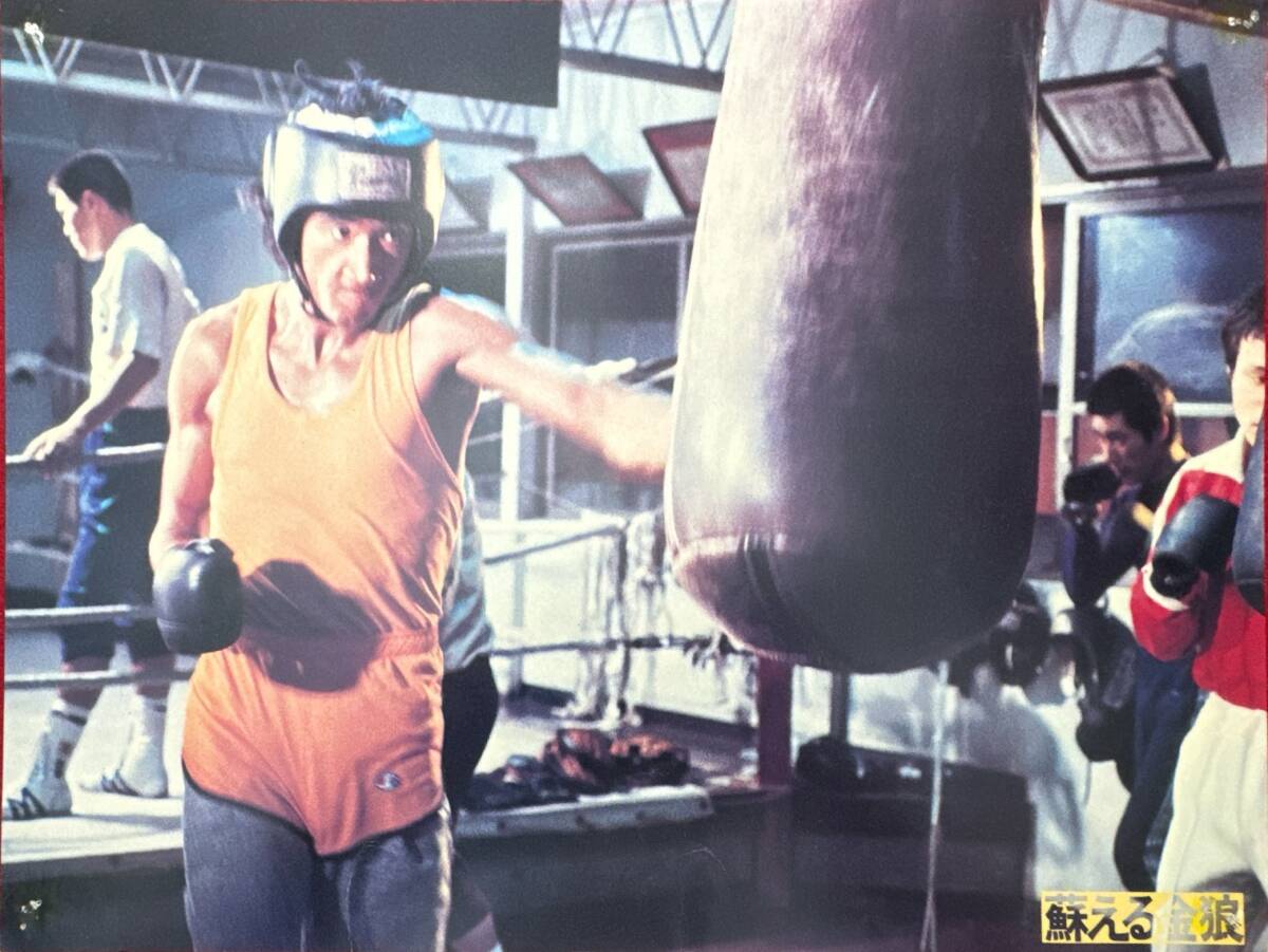 ly02012『蘇える金狼』ロビーカード 村川透 大藪春彦 角川春樹 松田優作 風吹ジュン 成田三樹夫 岩城滉一 千葉真一 岸田森拍卖