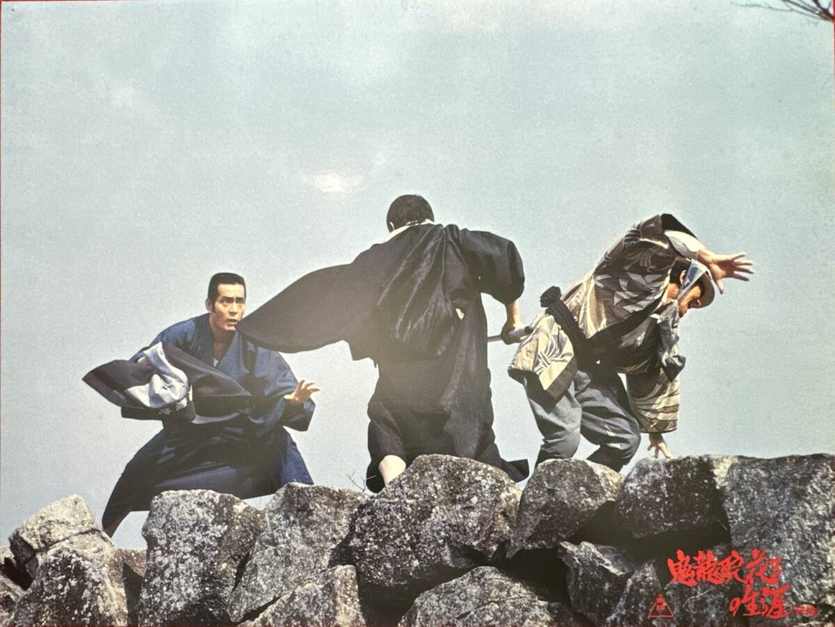 ly02040『鬼龍院花子の生涯』ロビーカード 五社英雄 仲代達矢 岩下志麻 夏目雅子 仙道敦子 佳那晃子 高杉かほり 室田日出男拍卖