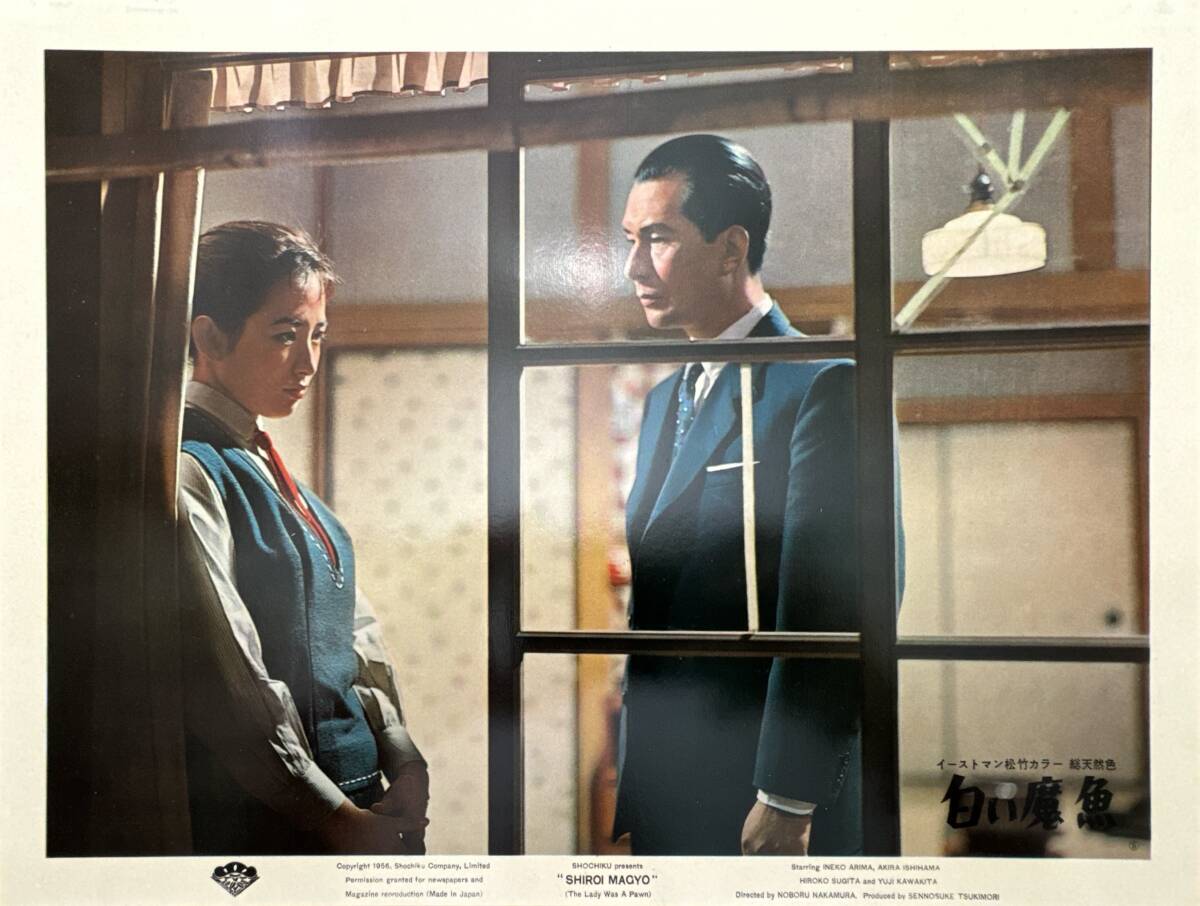 ly01574『白い魔魚』ロビーカード 中村登 有馬稲子 石浜朗 高峰三枝子 川喜多雄二 杉田弘子 上原謙拍卖