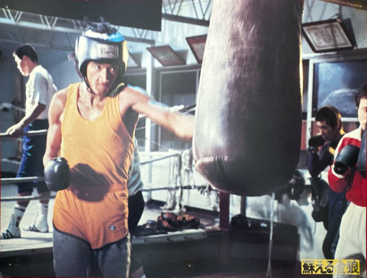 ly01807『蘇える金狼』ロビーカード 村川透 大藪春彦 角川春樹 松田優作 風吹ジュン 成田三樹夫 岩城滉一 千葉真一 岸田森拍卖