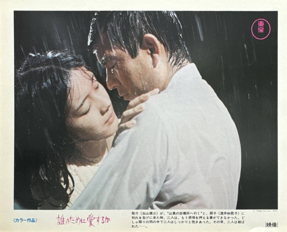 ly01499『誰のために愛するか』ロビーカード 出目昌伸 酒井和歌子 加山雄三 森光子 赤座美代子 中畑道子 細川俊夫拍卖
