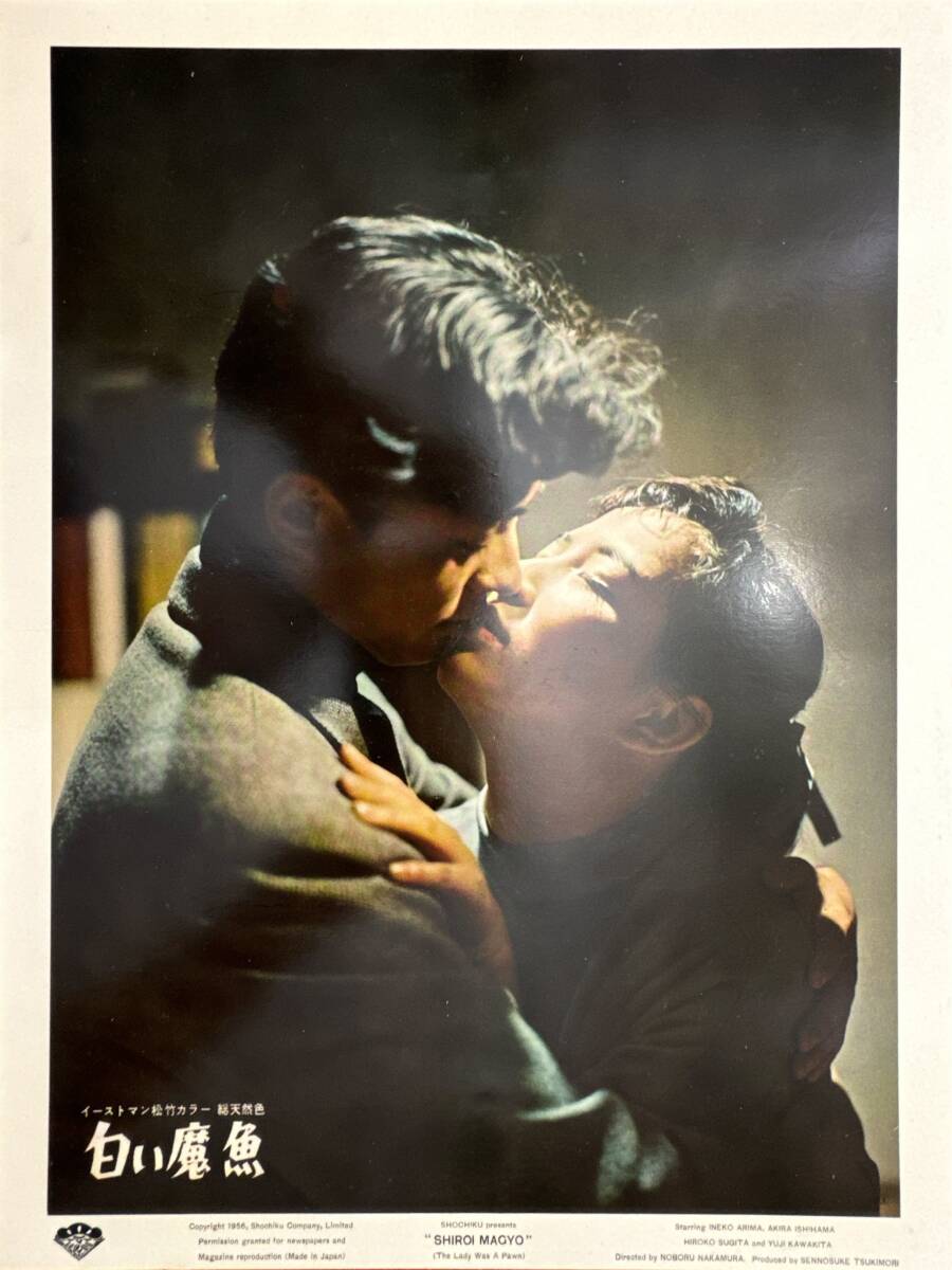 ly01577『白い魔魚』ロビーカード 中村登 有馬稲子 石浜朗 高峰三枝子 川喜多雄二 杉田弘子 上原謙拍卖