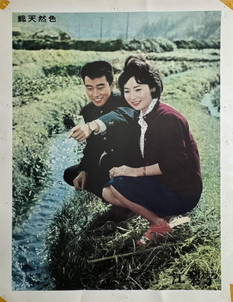 ly01867『江梨子』ロビーカード 木村恵吾 橋幸夫 三条魔子 船越英二 岩崎加根子 村田知栄子 倉田マユミ 渚まゆみ 浦辺粂子拍卖