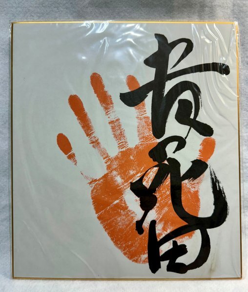 貴花田 手形 色紙 印刷 大相撲 力士 貴乃花 拍卖