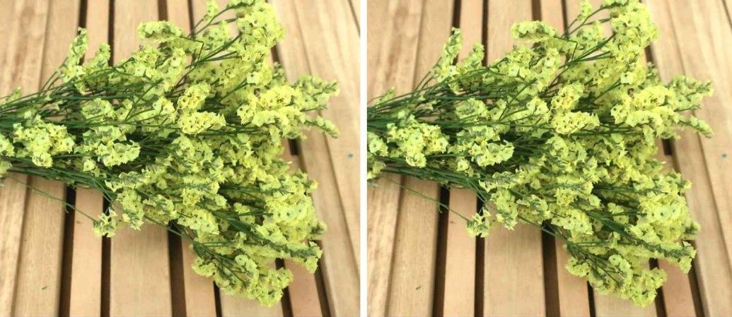 めぐみ工房 北海道ドライフラワーシネンシス系スカイイエロー大束 お得2個セット!拍卖