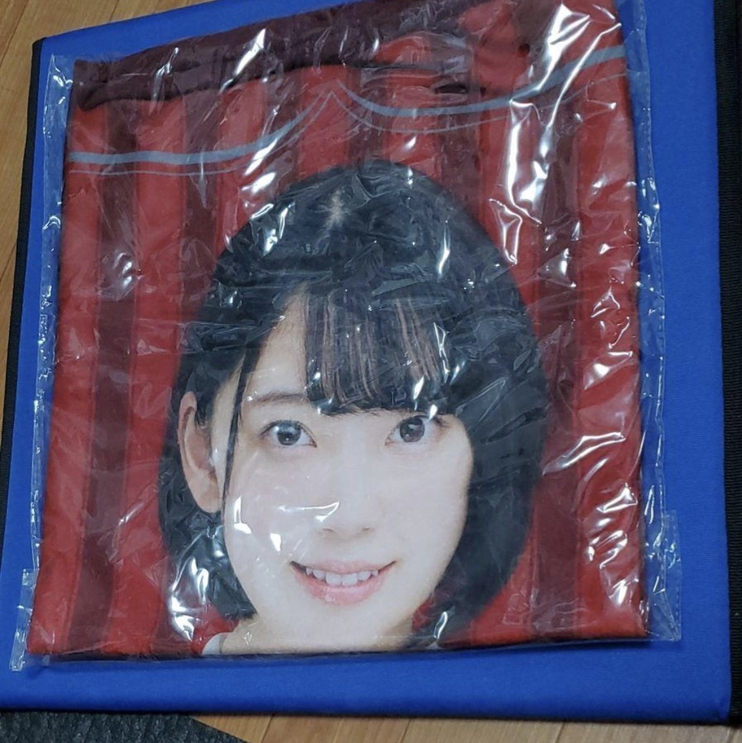 新品 乃木坂46 堀未央奈 4点セット コンサートグッズ ①大判ブランケット②推しタオル③うちわ④缶バッジ拍卖