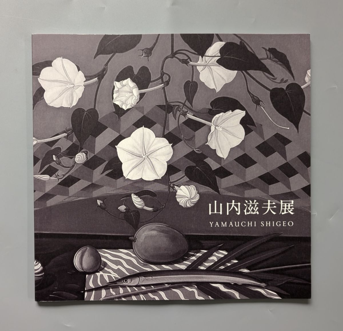 山内滋夫 展 美術 図録 2017年 高島屋 YAMAUCHI SHIGEO拍卖