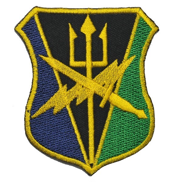 アイロンワッペン・パッチ アメリカ統合戦力軍 部隊章・階級章拍卖