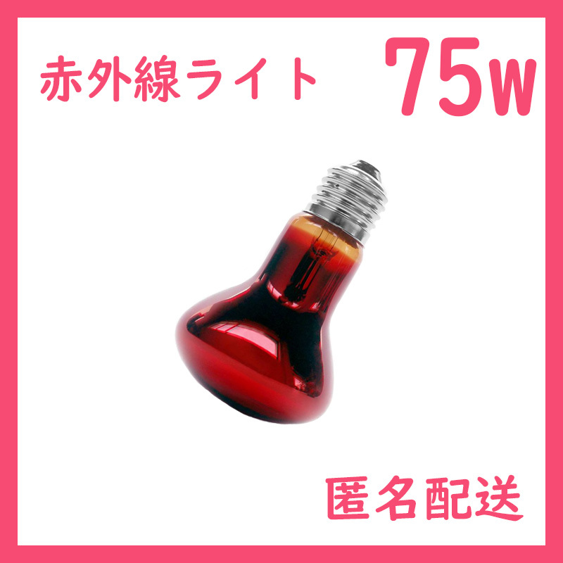 75W★赤外線ライト1個(爬虫類ライト)ヒートグローB0091拍卖