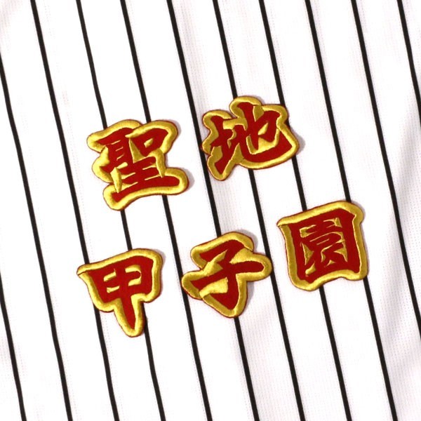 聖地 甲子園 赤/金 刺繍 ワッペン 阪神 タイガース 応援 ユニホーム に拍卖