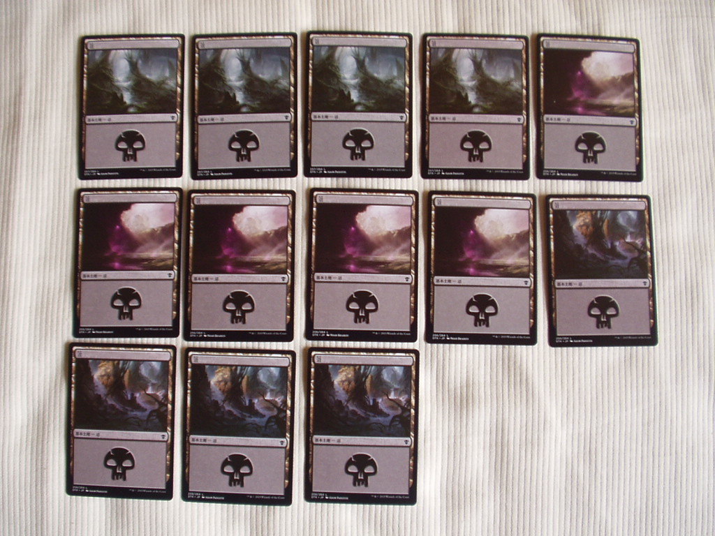 バイン MTG タルキール龍紀伝 基本地形/基本土地 沼13枚拍卖