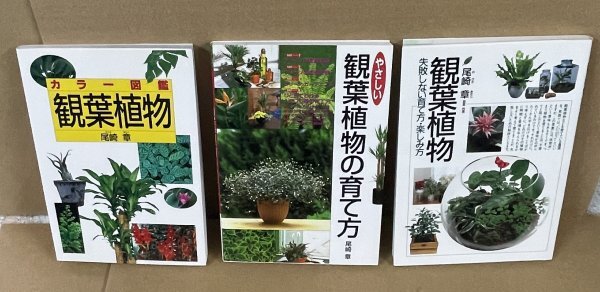 園芸:観葉植物1993-2001『観葉植物 -失敗しない育て方・愉しみ方』&『カラー図鑑 観葉植物』&『やさしい観葉植物の育て方』 尾崎章 著拍卖