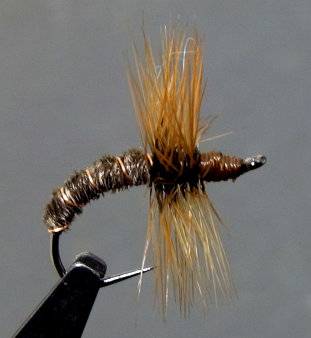 テンカラ/フライ #12 クイルボディ ◆バーブレス◆ 10本拍卖