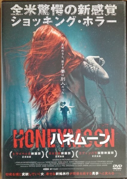 DVD R落/ハネムーン/ローズ・レスリー拍卖