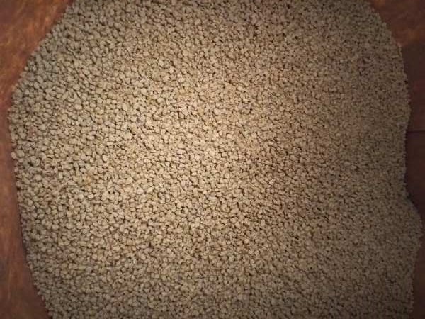 鶏の餌・雛用 餌付け 20kg 飼料 エサ 拍卖