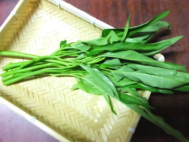468.6.4◆かんたん栽培 葉物野菜 パリパリ菜 クウシンサイ エンサイ 5苗 空芯菜◆トライ 家庭菜園 プランター◆無農薬 無化学肥料 自然菜園拍卖