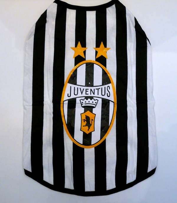 7号★送料無料・ネコポス便★中型犬(S)ワンT ユベントス拍卖