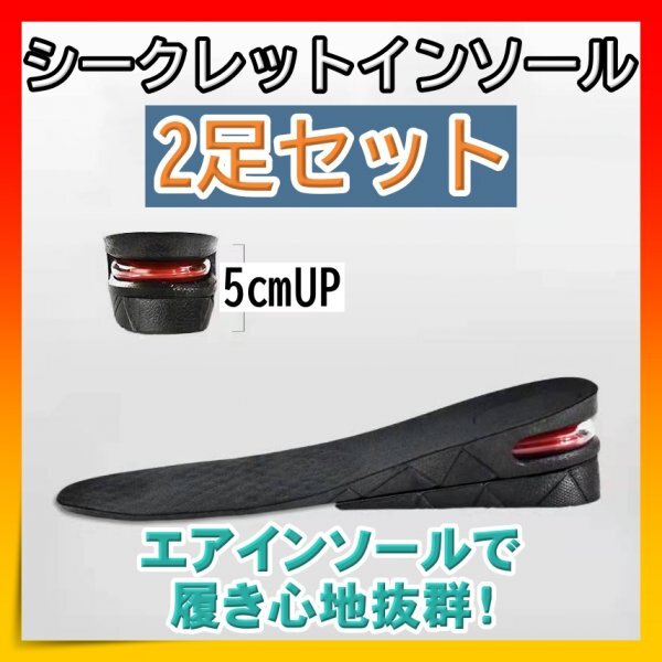 シークレットインソール 中敷き 2足分 高さ調節 フリーサイズ サイズ調整拍卖