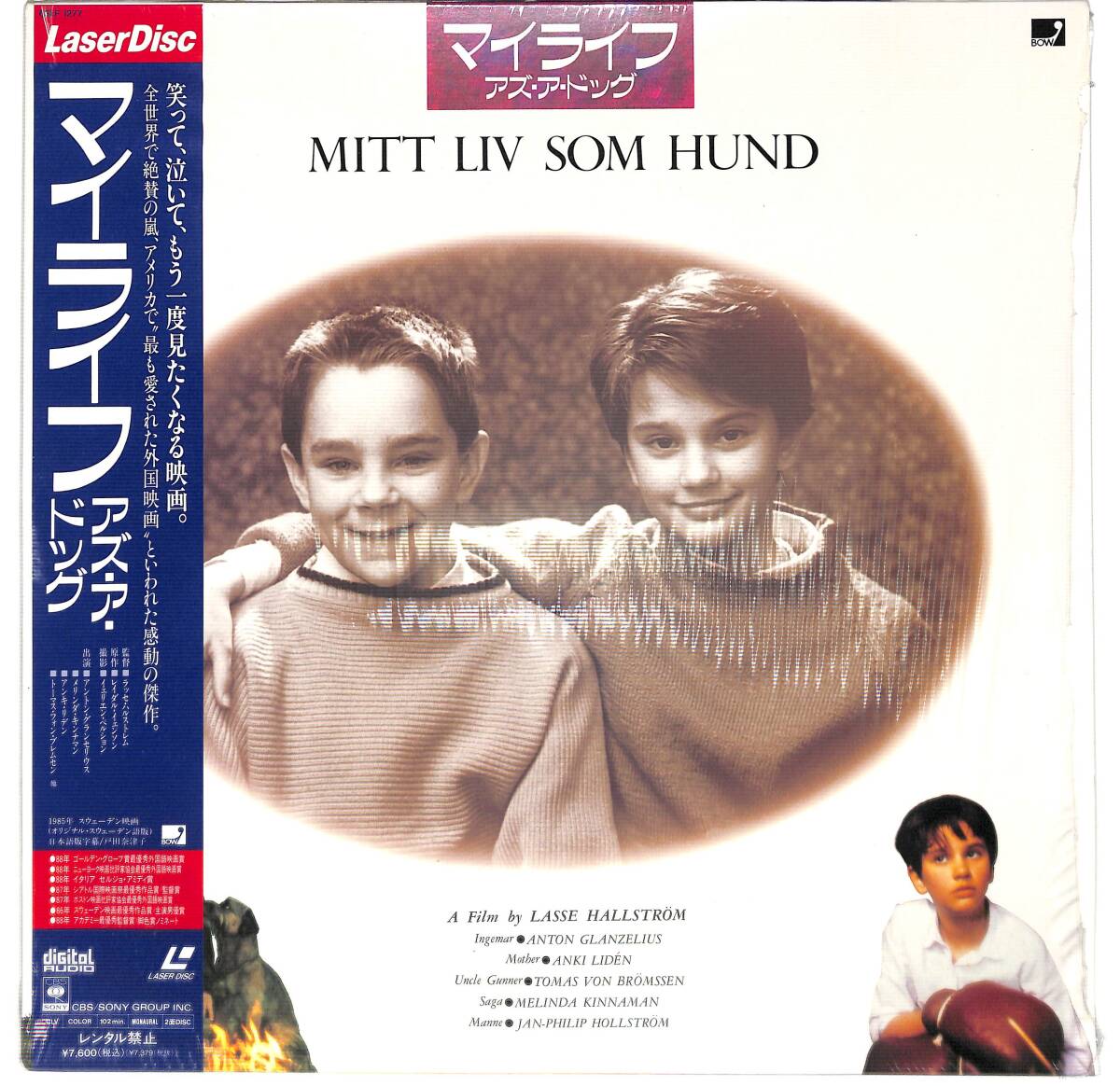 e7943/LD/帯付/マイライフ・アズ・ア・ドッグ拍卖