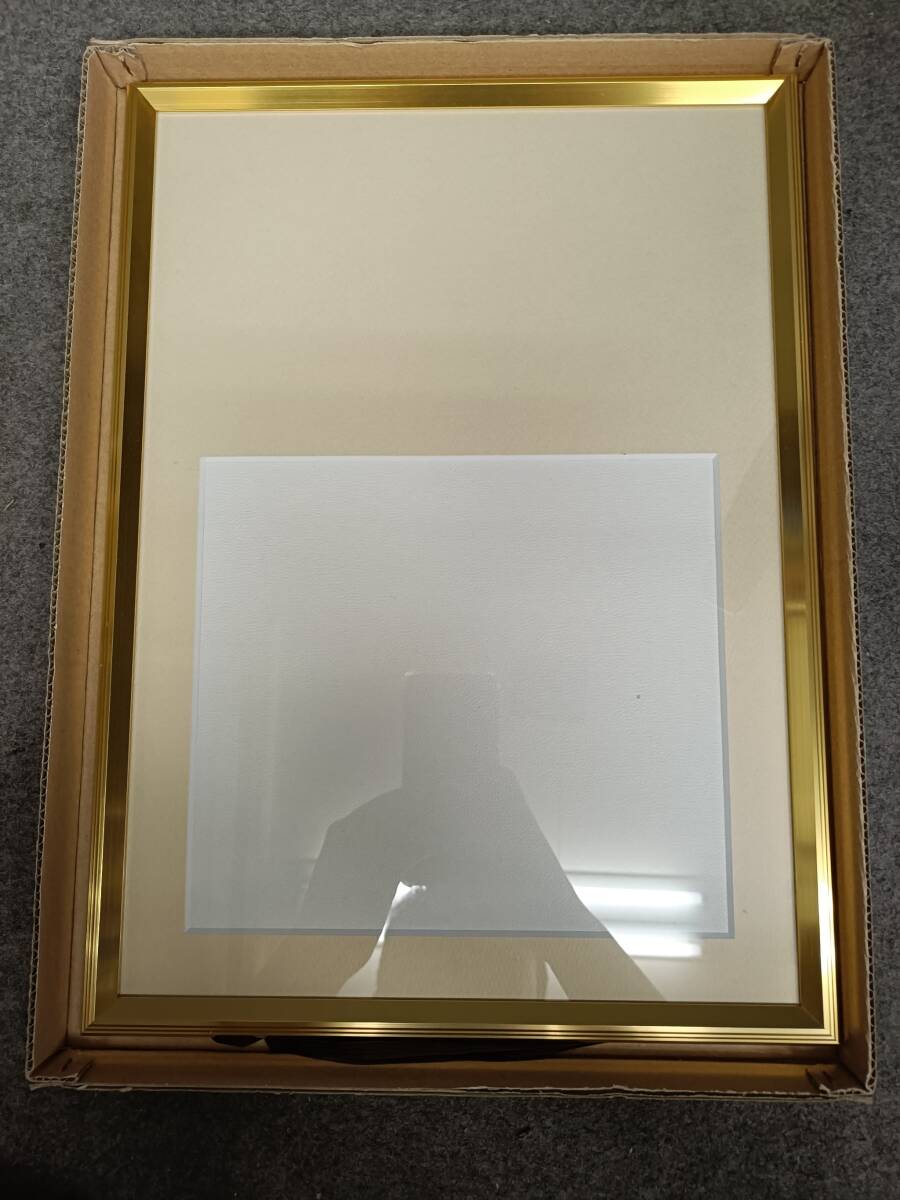 額縁 金メッキ ガラス面 新品 未使用品 アート用品 色紙フレーム部分あり拍卖
