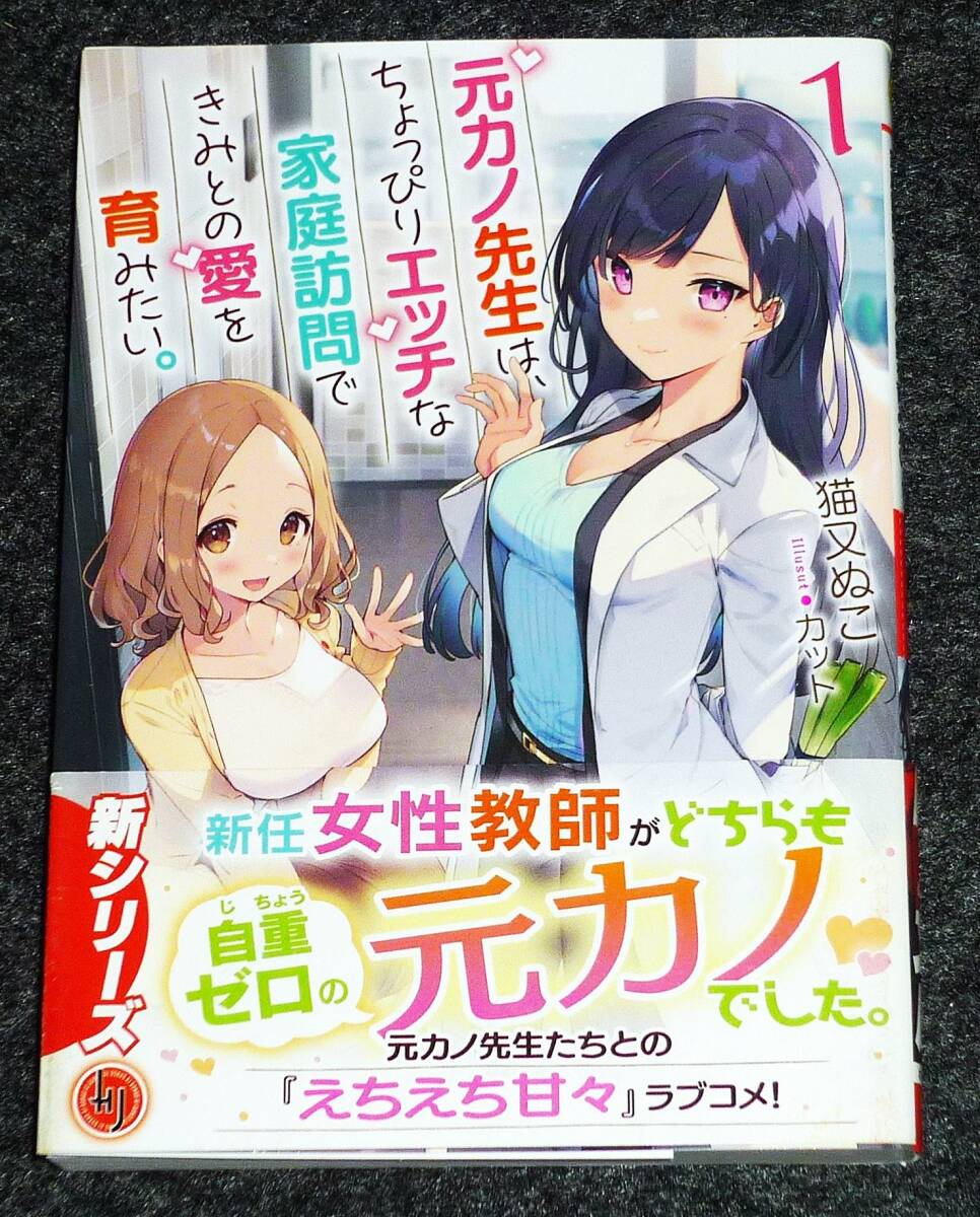 元カノ先生は、ちょっぴりエッチな家庭訪問できみとの愛を育みたい。1 (HJ文庫) 文庫 ★猫又ぬこ (著), カット (イラスト)【P04】拍卖