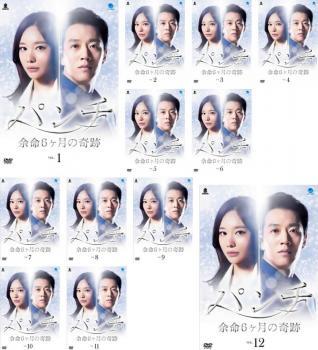 パンチ 余命6ヶ月の奇跡 全12枚 第1話~第25話 最終 レンタル落ち 全巻セット 中古 DVD 韓国ドラマ拍卖