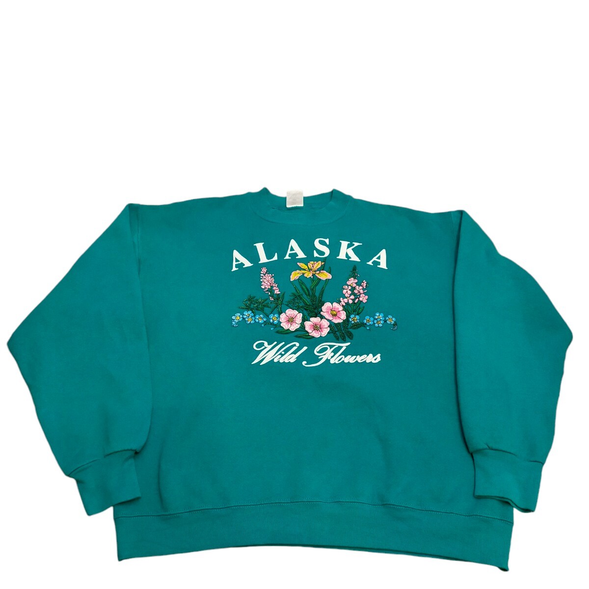 古着 フルーツオブザルーム スウェット トレーナー スーベニア ヴィンテージ 90s拍卖