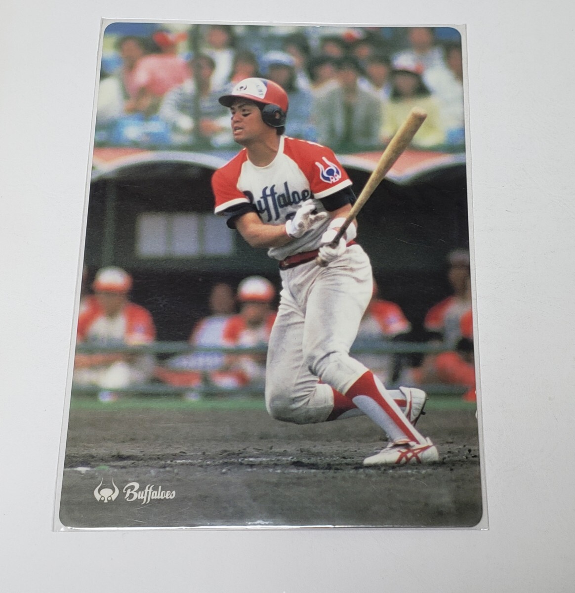 近鉄バファローズ 下敷き 金村 義明拍卖