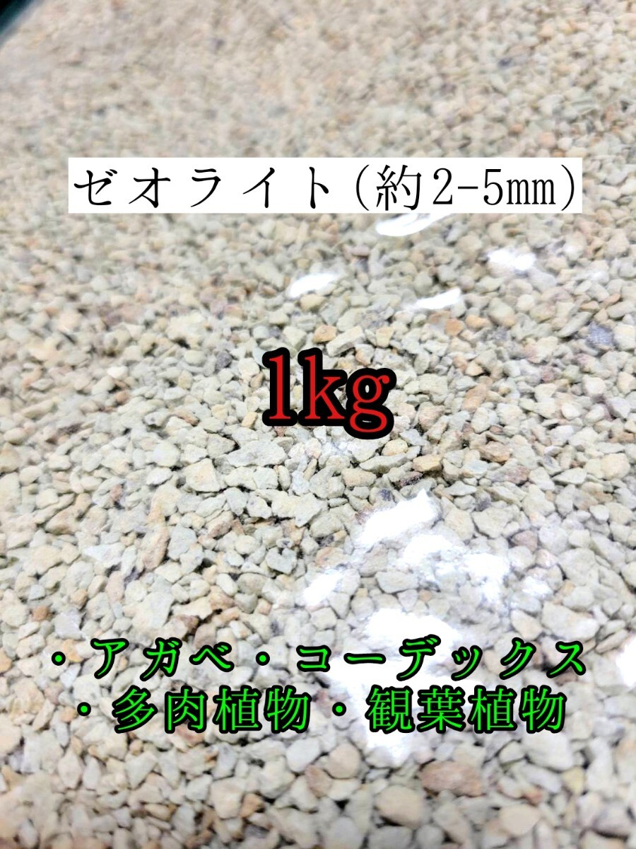 高品質 ゼオライト1kg 根腐れ防止 土壌改良 テラリウム 多肉植物 サボテン 観葉植物 魂根植物 アクアリウム 水耕栽培 砂利拍卖