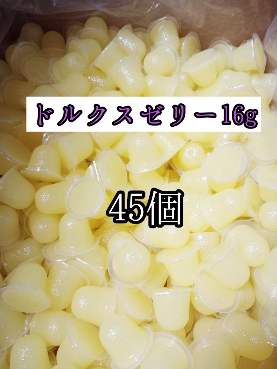 昆虫ゼリー フジコン ドルクスゼリーS16g 45個 クワガタ カブトムシ オオクワガタ フクロモモンガ ハムスター ハリネズミ 小動物拍卖
