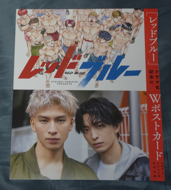 少年サンデー52号付録 レッドブルー Wポストカード拍卖