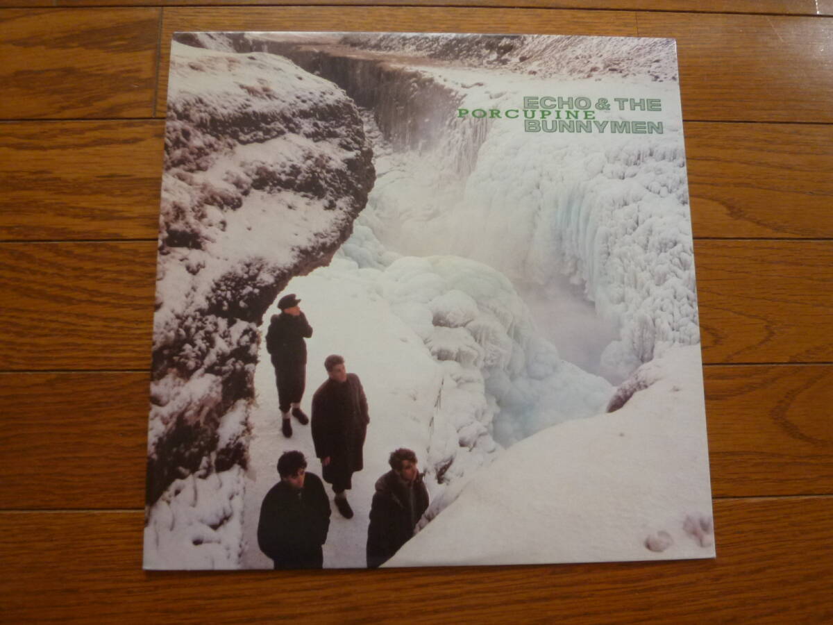 LP ECHO AND THE BUNNYMEN / PORCUPINE拍卖
