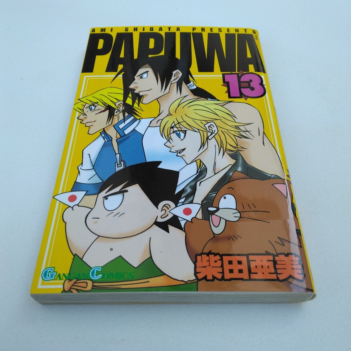 柴田亜美 PAPUWA 13巻 初版本 ガンガンコミックス エニックス 当時品 保管品拍卖