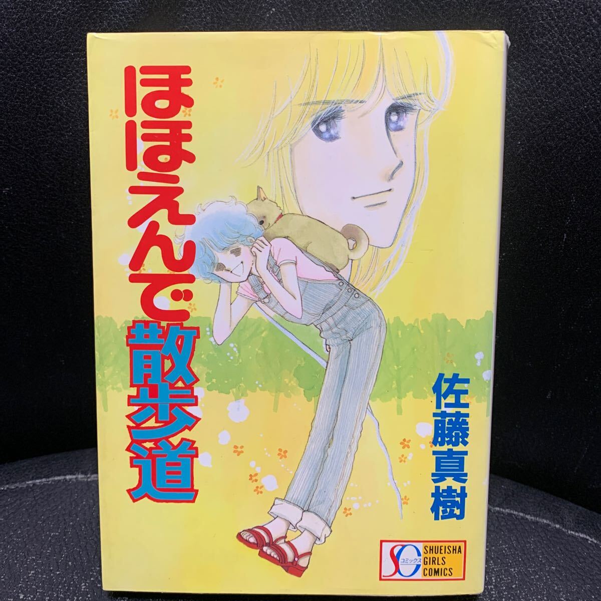 佐藤真樹 ほほえんで散歩道 SGコミックス拍卖