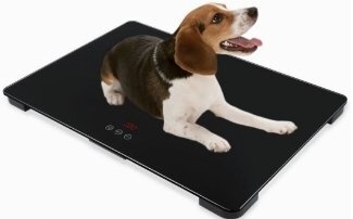 OHJ735★体重計強くお勧め犬用体重計 動物用体重計 獣医用の 体重計 子供 大人 犬と猫に適しています測定器拍卖