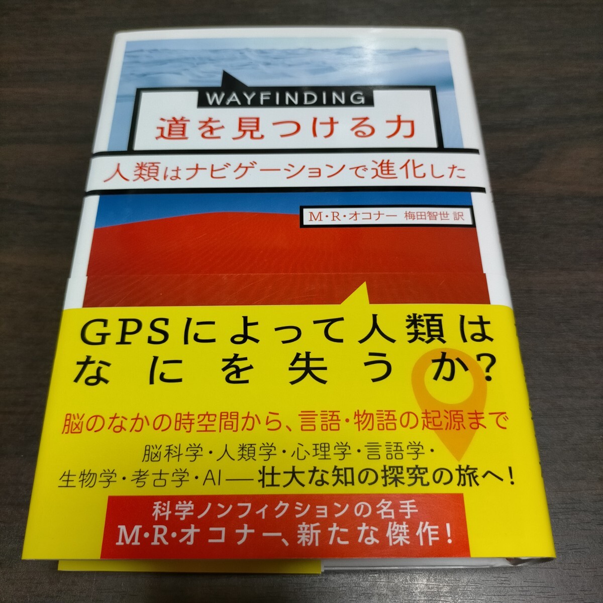 WAYFINDING道を見つける力 人類はナビゲーションで進化した M・R・オコナー/著 梅田智世/訳 保管b拍卖