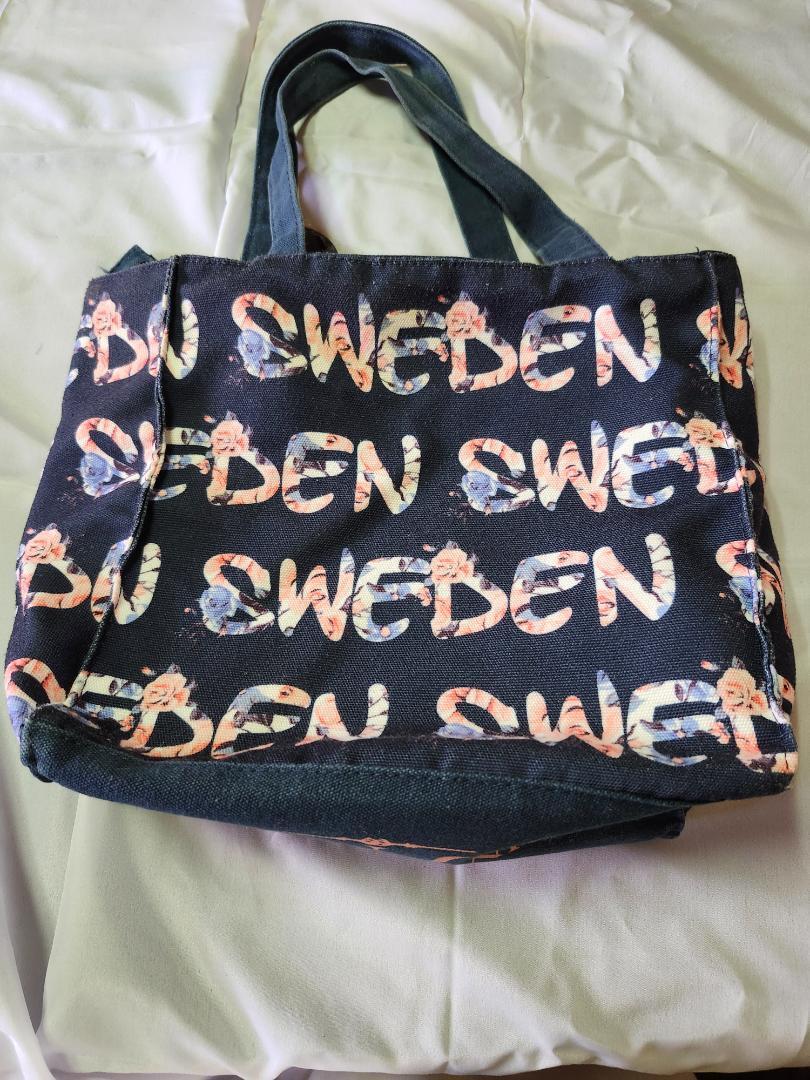 ROBIN RUTH ちょっと小さ目買い物バッグ 帆布製 USED拍卖