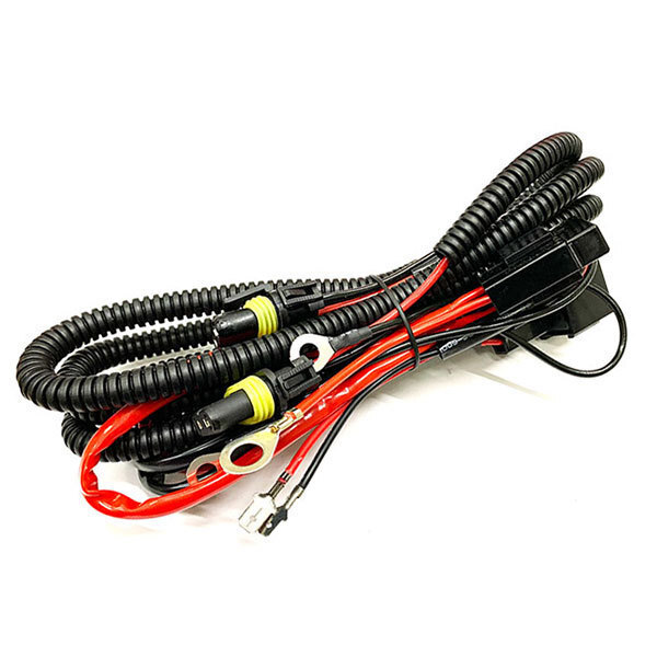 HID 電源強化 リレーハーネス H1/H3/D2/D4 型式 12v・24v兼用 送料無料拍卖