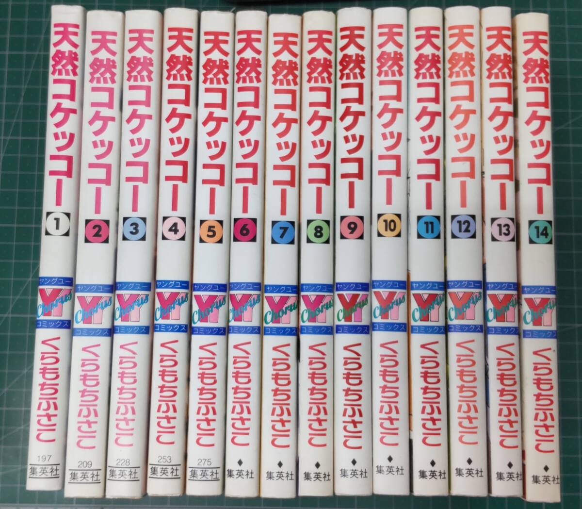 【全初版】 天然コケッコー 全14巻 完結 セットくらもちふさこ 集英社 ヤングユーコミックス コーラスシリーズ●H4317拍卖
