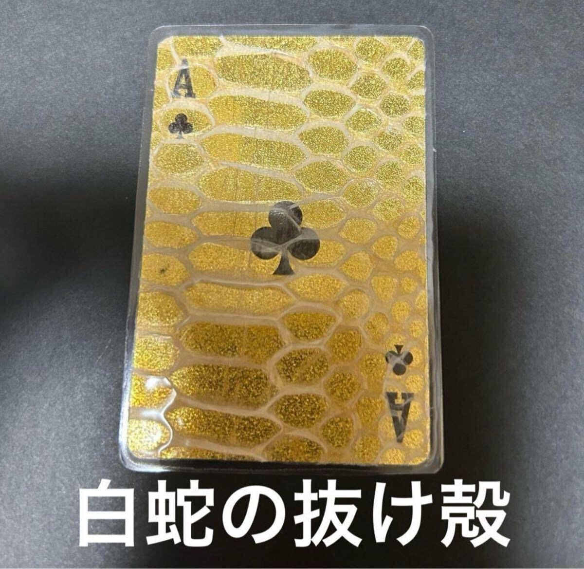 白蛇の抜け殻 蛇の抜け殻 金運 開運 魔除け拍卖